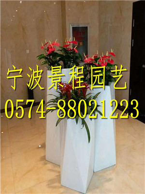 組合擺放11