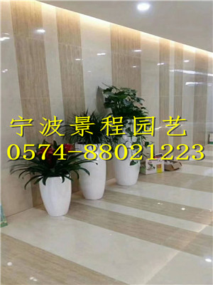 組合擺放10
