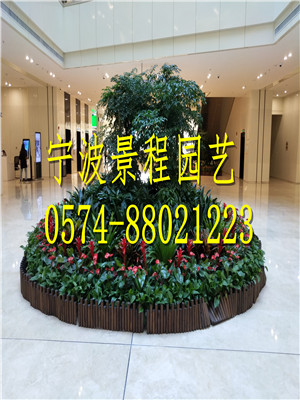 組合擺放2