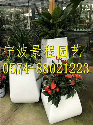 組合擺放8