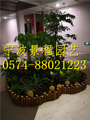 組合擺放6