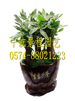 聚寶盆