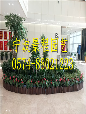 案例