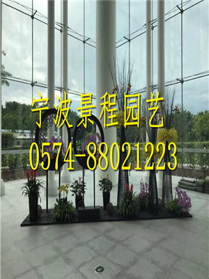 案例