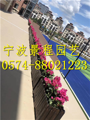 案例