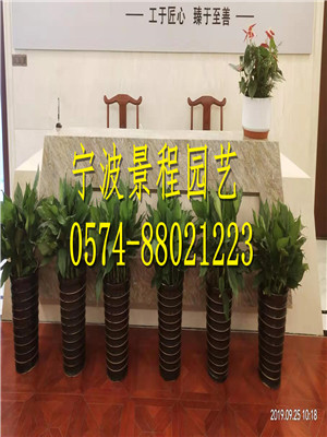 案例
